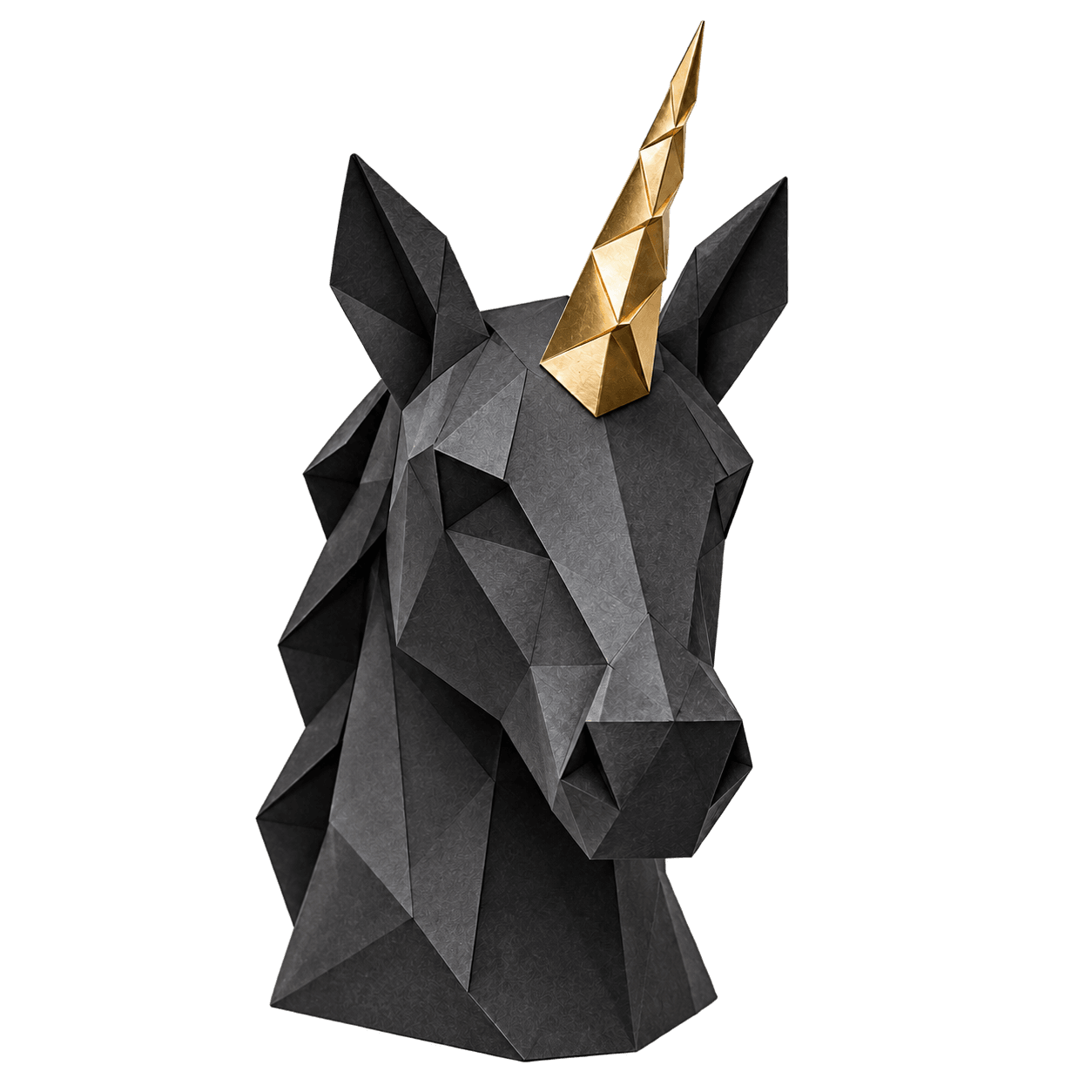 Dmlab Unicorn